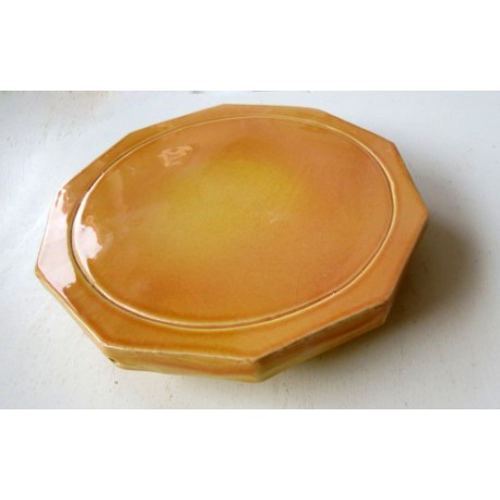 Dynamiseur d'aliments décagone orange Dynamiseur d'aliments décagone orange